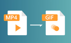 Wie kann man MP4 in GIF umwandeln