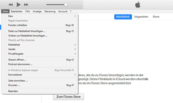 Datei in iTunes importieren