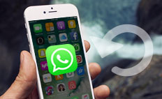 WhatsApp vom iPhone wiederherstellen