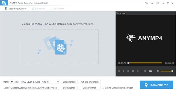 FLV to MP3 Converter starten