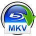 BD to MKV Backup