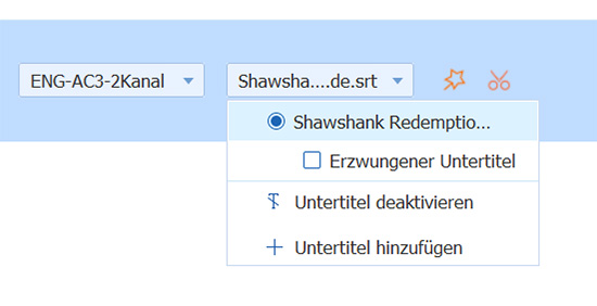 Audiospur und Untertitel auswählen
