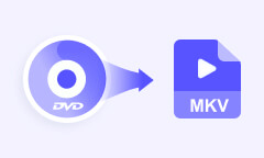 DVD in MKV umwandeln