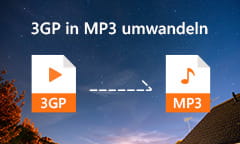 3GP to MP3 Converter