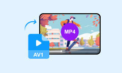 AV1 to MP4