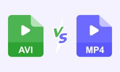 AVI vs. MP4