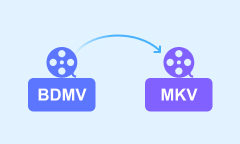 BDMV to MKV