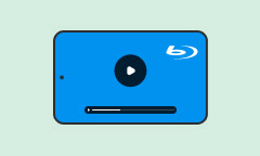 Blu-ray Video zu ipad rippen