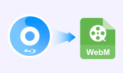 Blu-ray Video in WebM umwandeln