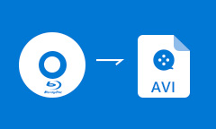 Blu-ray to AVI Converter