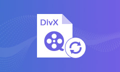 DivX Converter