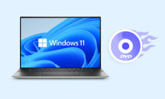DVD auf Windows 11 brennen