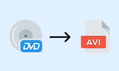 DVD in AVI konvertieren
