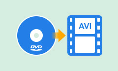 DVD in AVI umwandeln