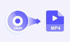 DVD in MP4 konvertieren