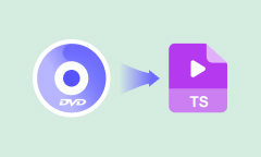 DVD in TS umwandeln