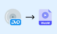 DVD in WebM umwandeln