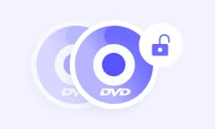 DVD Kopierschutz umgehen