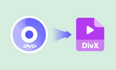 DVD in DivX umwandeln