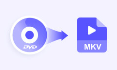 DVD in MKV umwandeln