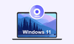 DVD auf Windows 11 abspielen
