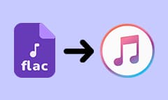 FLAC in iTunes importieren