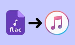 FLAC zu iTunes hinzufügen