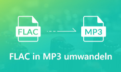 FLAC in MP3 umwandeln