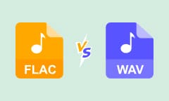 FLAC vs. WAV