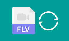 FLV Converter