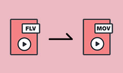 FLV to MOV Converter