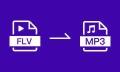 FLV to MP3 Converter