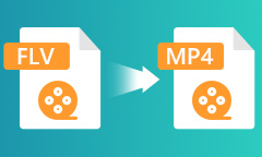 FLV to MP4 Converter