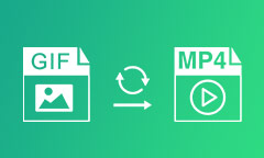 GIF in MP4 konvertieren