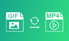 GIF to MP4 Converter