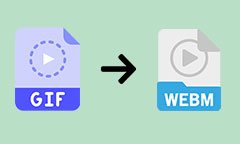 GIF in WebM umwandeln