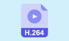H.264 Player