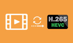 HEVC Converter