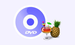 DVD mit HandBrake rippen