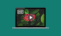 HD Video Player