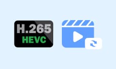 HEVC Codec