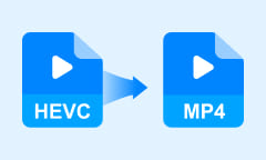 HEVC in MP4 umwandeln