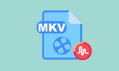 MKV Audio Converter