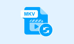 MKV Video umwandeln