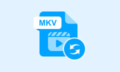 MKV Converter