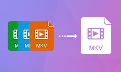 MKV-Dateien zusammenfügen