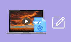 MKV Editor