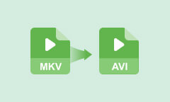 MKV to AVI Converter