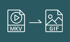 MKV in GIF umwandeln