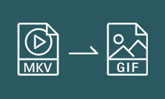 MKV in GIF umwandeln